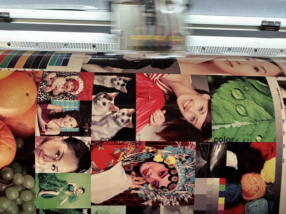 Gallery Thumb 1